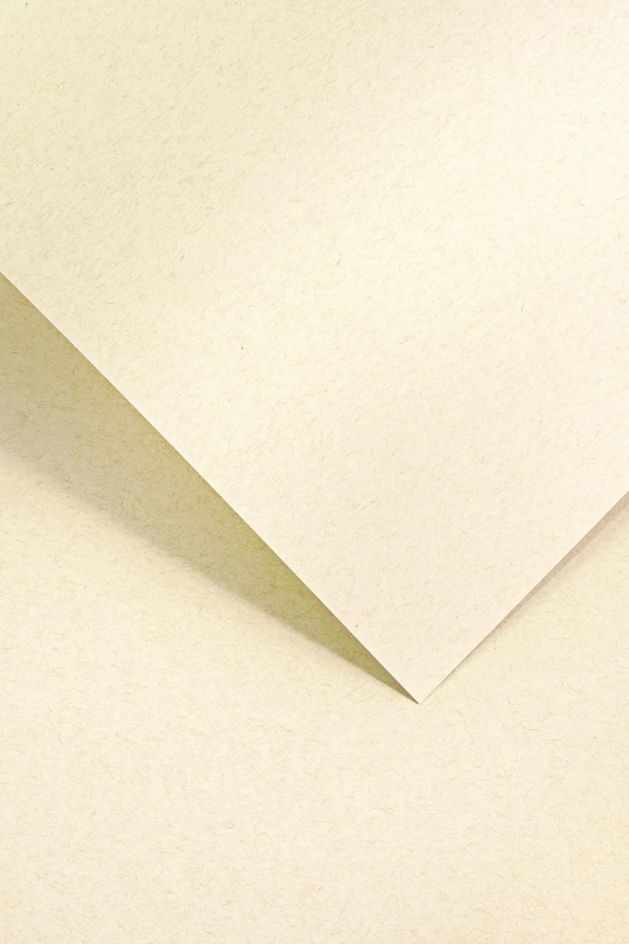 Galeria Papieru Ozdobný papír A4 Nature - 120 g/m2, světle béžový, 50 ks