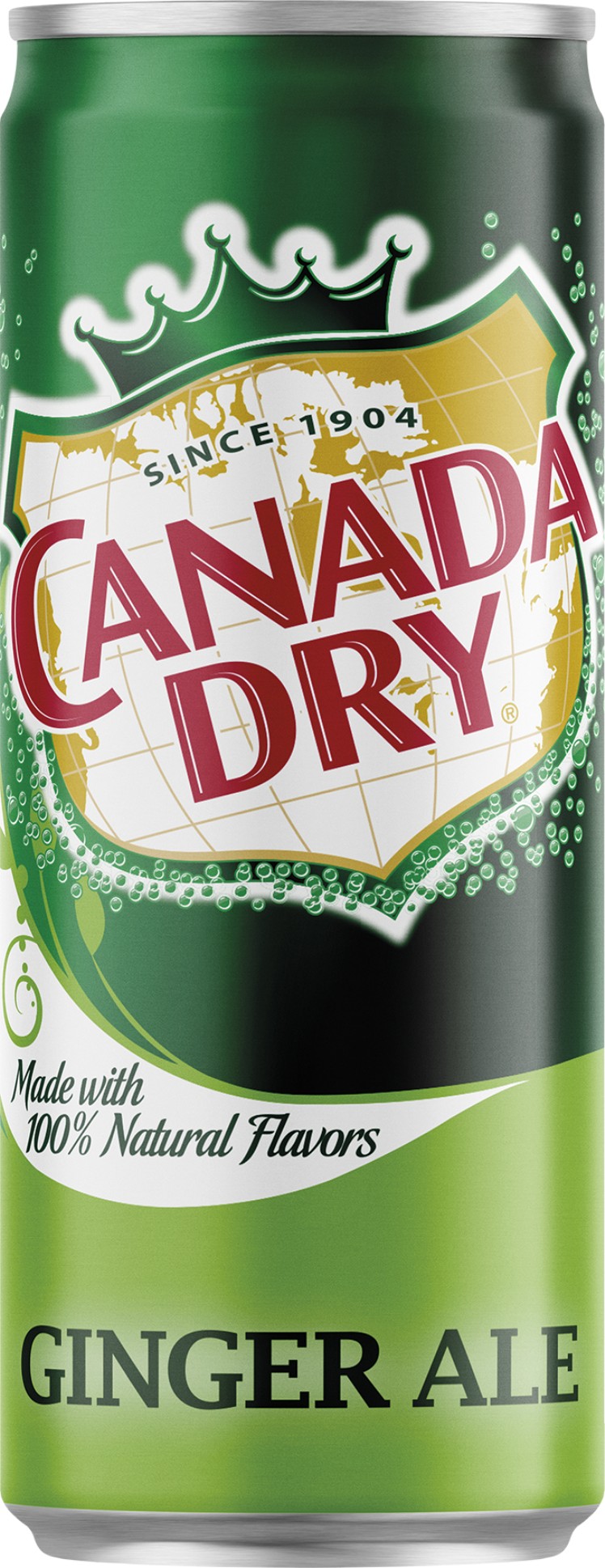 Canada Dry - plech, 24x 0,33l