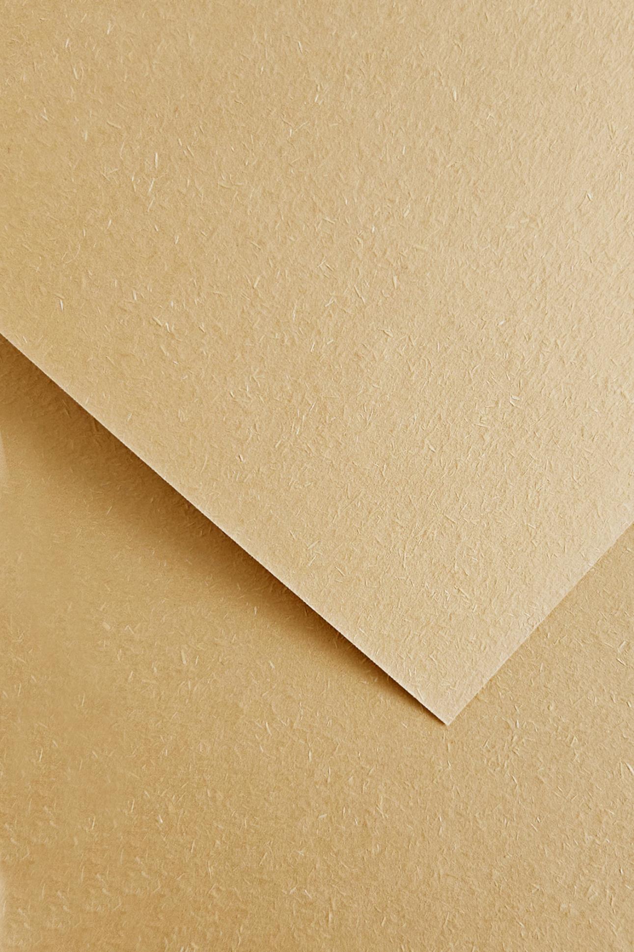 Galeria Papieru Designový papír A4 Wood - 220 g, béžový, 20 ks