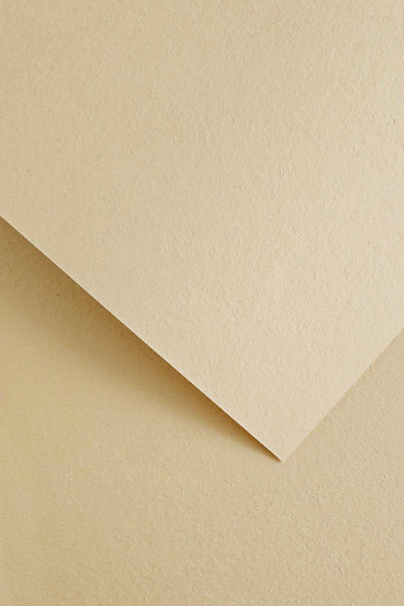 Galeria Papieru Designový papír A4 Wood - 220 g, krémový, 20 ks