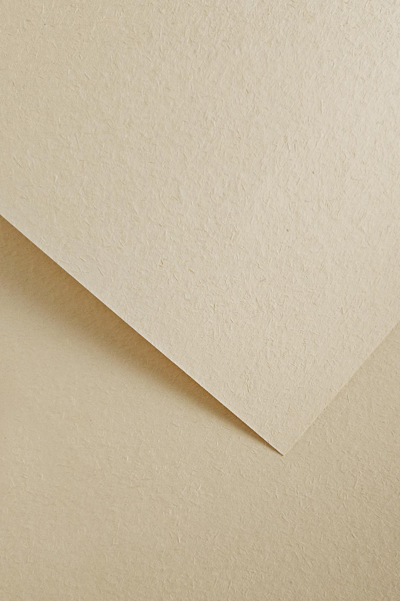 Galeria Papieru Designový papír A4 Wood - 220 g, světlá slonová kost, 20 ks