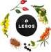 Leros